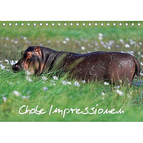 Chobe Impressionen (Tischkalender 2018 DIN A5 quer), Gerald Wolf