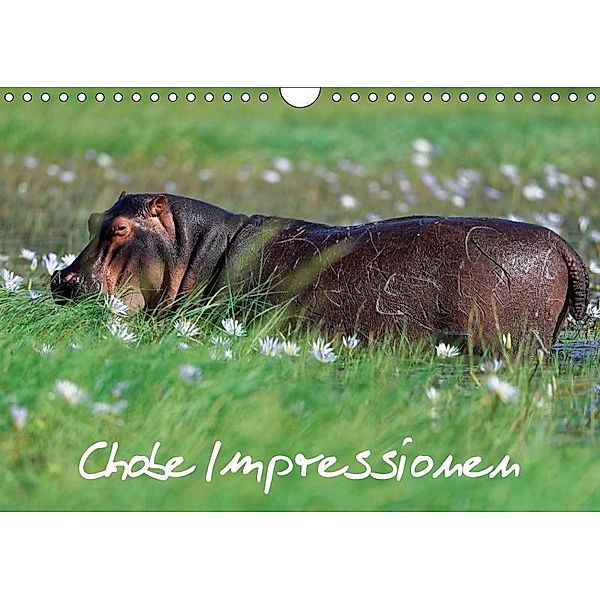 Chobe Impressionen (Wandkalender 2017 DIN A4 quer), Gerald Wolf