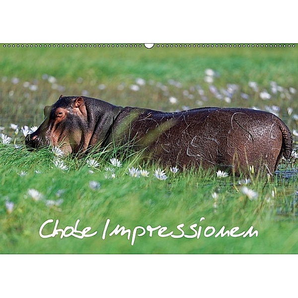 Chobe Impressionen (Wandkalender 2018 DIN A2 quer), Gerald Wolf