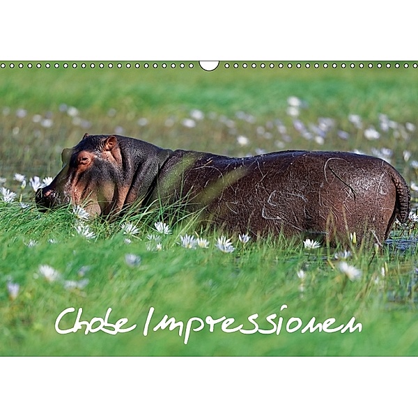 Chobe Impressionen (Wandkalender 2018 DIN A3 quer), Gerald Wolf