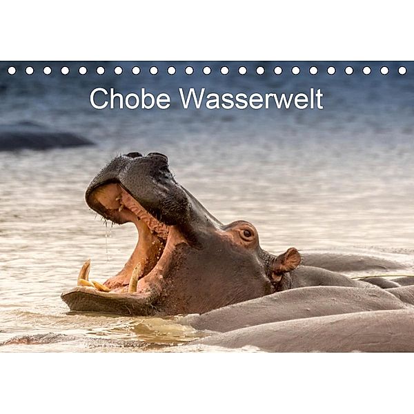 Chobe Wasserwelt (Tischkalender 2021 DIN A5 quer), Bruno Pohl