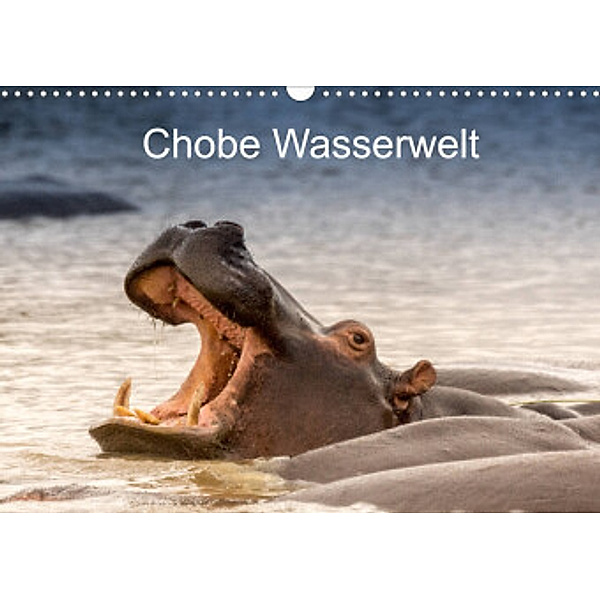 Chobe Wasserwelt (Wandkalender 2022 DIN A3 quer), Bruno Pohl