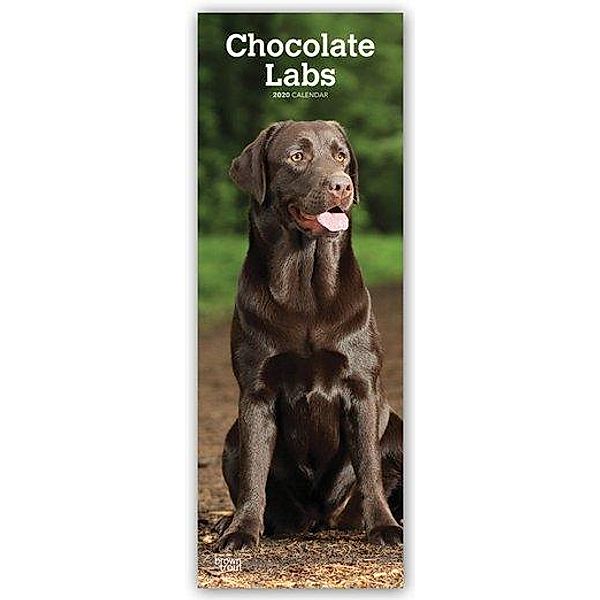 Chocolate Labs 2020, BrownTrout Publishers