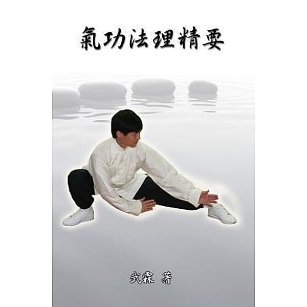 Choice Methods and Theory on Chinese Kungfu, Xiaogang Wu, ¿¿, ¿¿¿