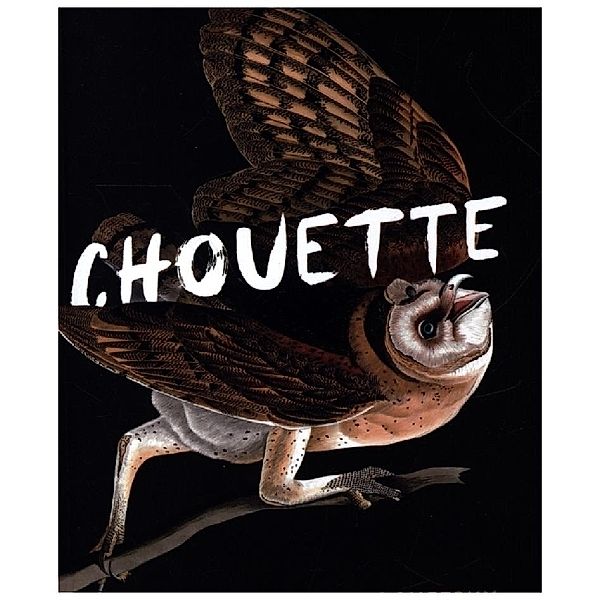 Chouette, Claire Oshetsky