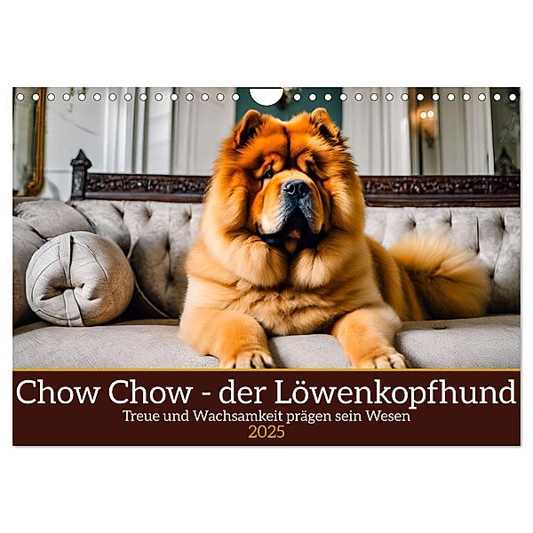Chow Chow - der Löwenkopfhund (Wandkalender 2025 DIN A4 quer), CALVENDO Monatskalender, Calvendo, Claudia Kleemann