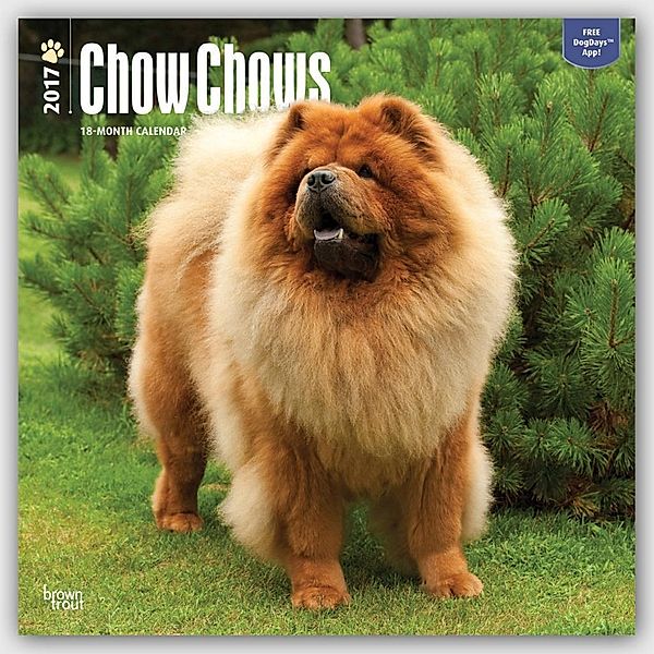 Chow Chows 2017 - 18-Monatskalender