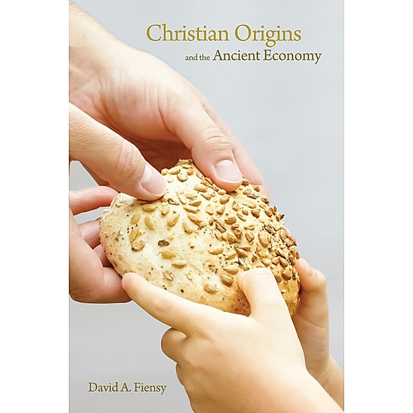 Christian Origins and the Ancient Economy, David A. Fiensy