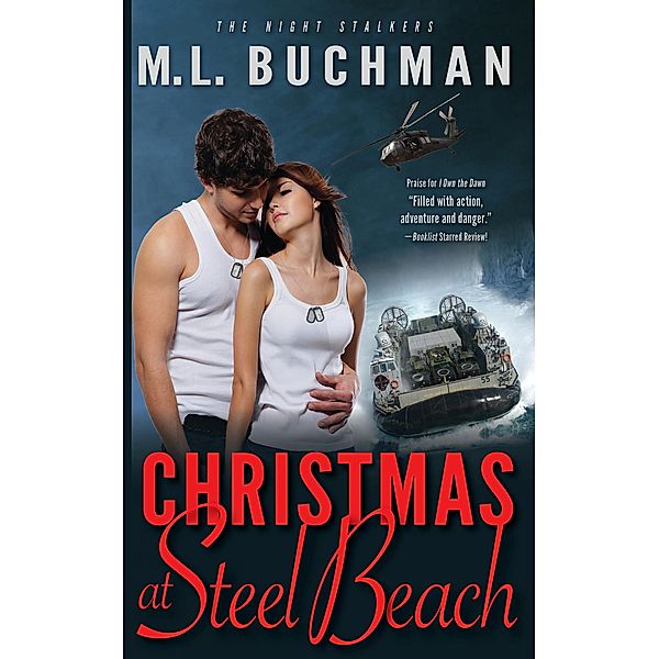 Christmas at Steel Beach, M. L. Buchman