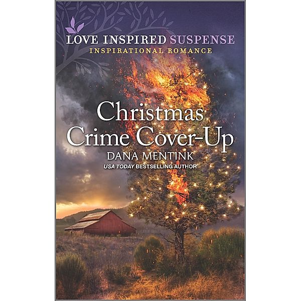 Christmas Crime Cover-Up / Desert Justice Bd.5, Dana Mentink