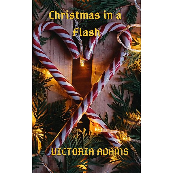 Christmas in a Flash, Daryl Devore, Victoria Adams