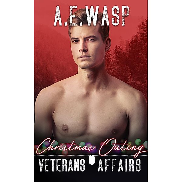 Christmas Outing (Veterans Affairs, #2) / Veterans Affairs, A. E. Wasp