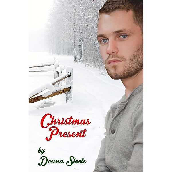 Christmas Present, Donna Steele
