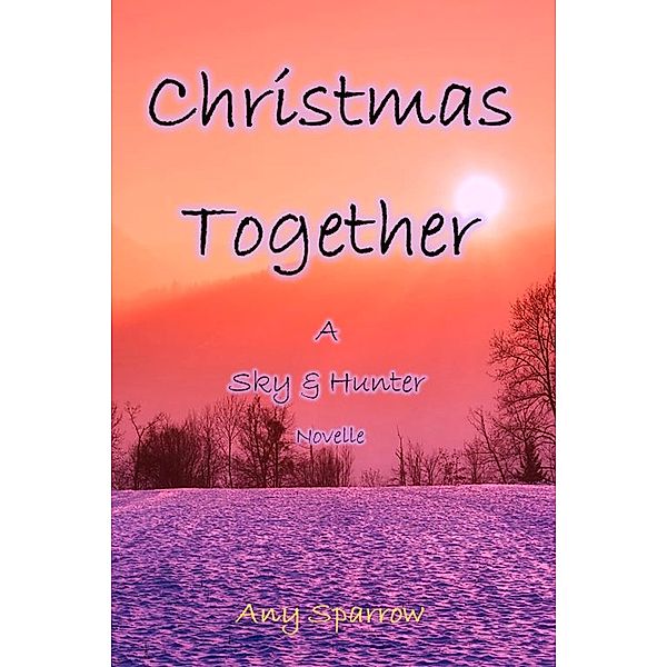 Christmas Together / Together-Reihe Bd.3, Any Sparrow