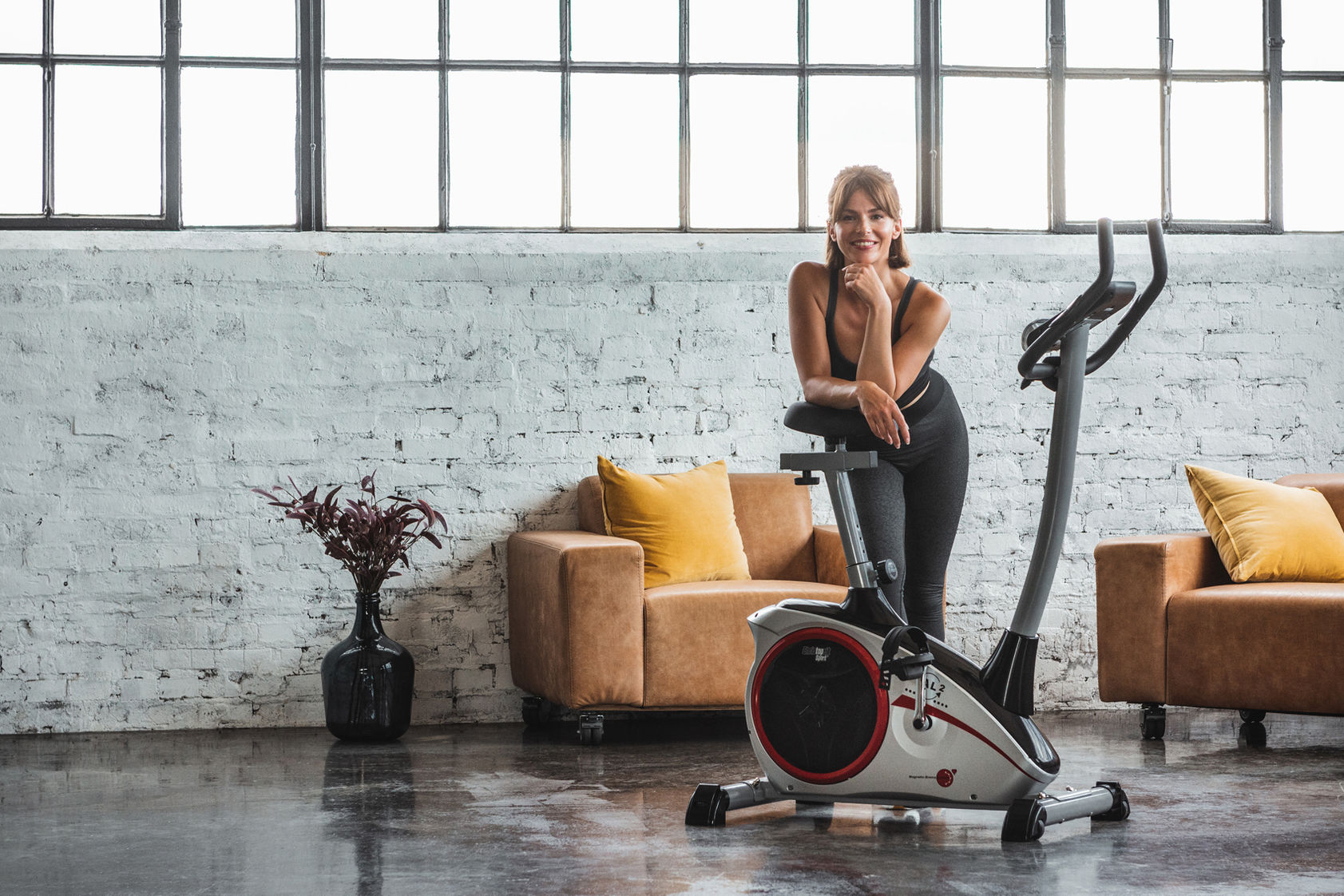 Christopeit Heimtrainer Ergometer AL 2 Farbe: silber online kaufen -  Orbisana