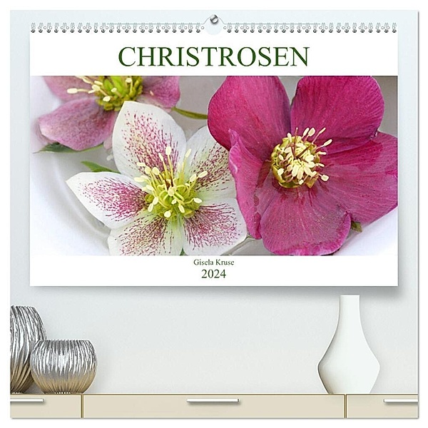 Christrosen (hochwertiger Premium Wandkalender 2024 DIN A2 quer), Kunstdruck in Hochglanz, Gisela Kruse