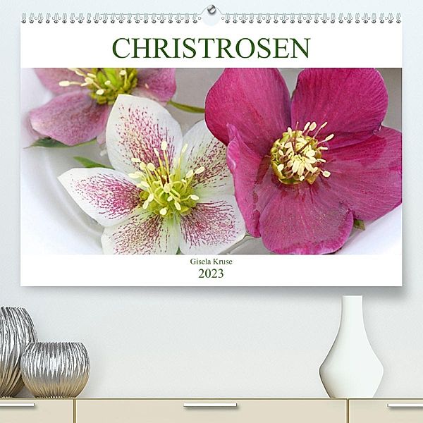 Christrosen (Premium, hochwertiger DIN A2 Wandkalender 2023, Kunstdruck in Hochglanz), Gisela Kruse