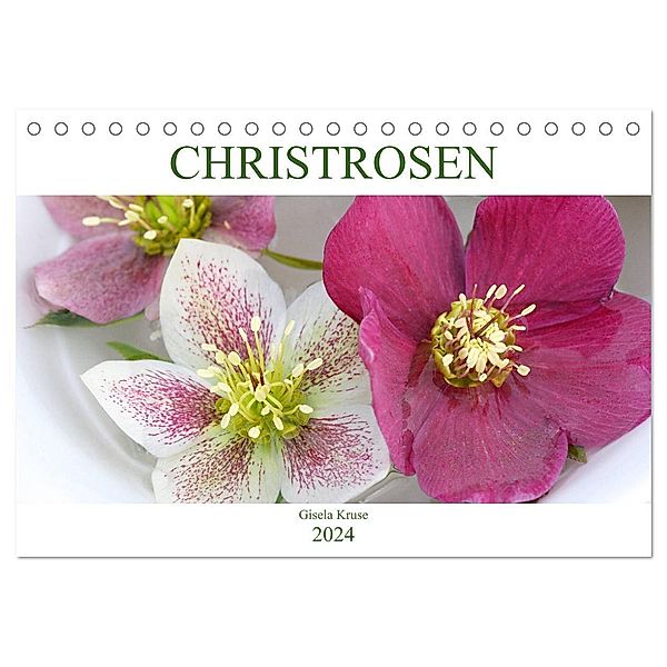 Christrosen (Tischkalender 2024 DIN A5 quer), CALVENDO Monatskalender, Gisela Kruse