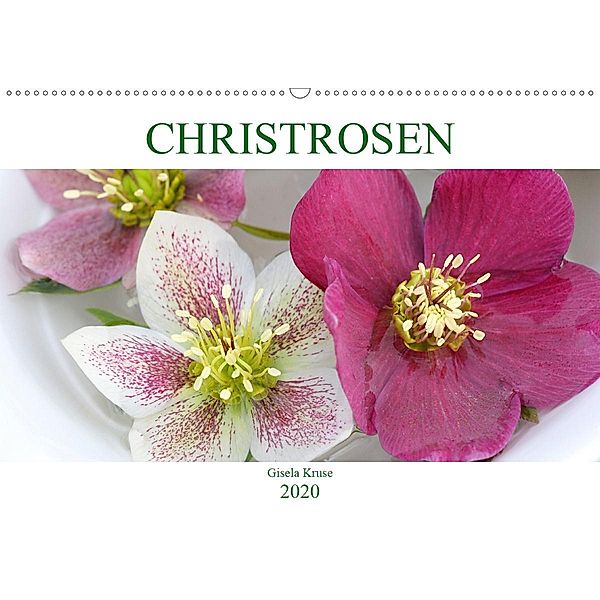 Christrosen (Wandkalender 2020 DIN A2 quer), Gisela Kruse