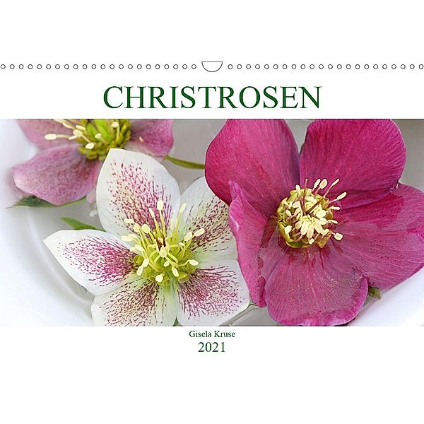 Christrosen (Wandkalender 2021 DIN A3 quer), Gisela Kruse
