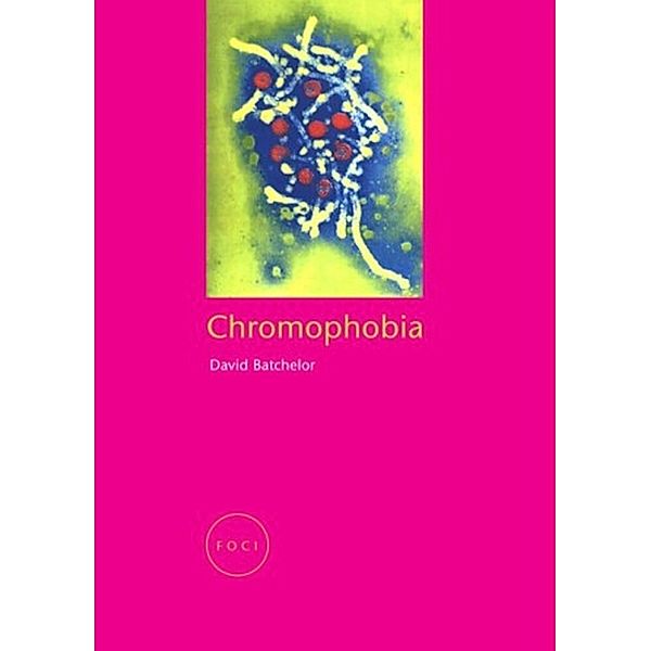 Chromophobia, David Batchelor