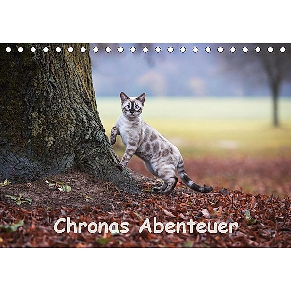 Chronas Abenteuer (Tischkalender 2020 DIN A5 quer), Robyn meets Elos Photography