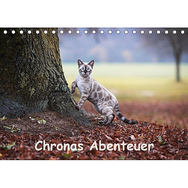 Chronas Abenteuer (Tischkalender 2021 DIN A5 quer), Robyn meets Elos Photography