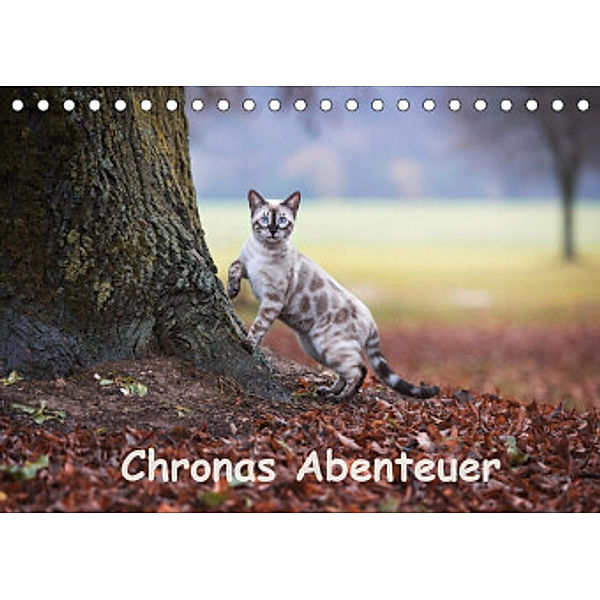 Chronas Abenteuer (Tischkalender 2022 DIN A5 quer), Robyn meets Elos Photography