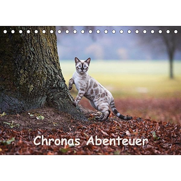 Chronas Abenteuer (Tischkalender 2023 DIN A5 quer), Robyn meets Elos Photography