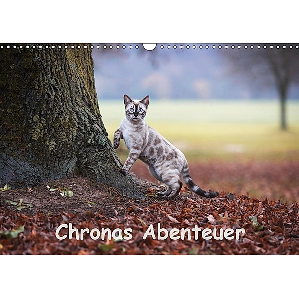 Chronas Abenteuer (Wandkalender 2020 DIN A3 quer), Robyn meets Elos Photography