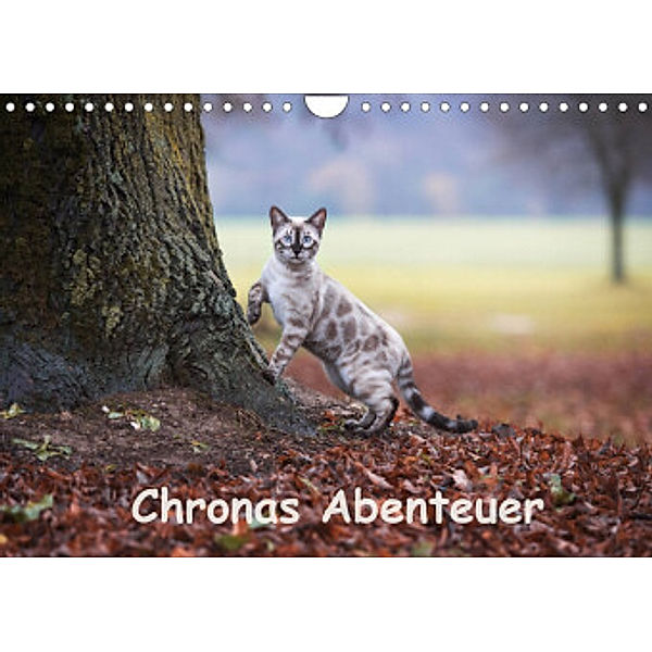 Chronas Abenteuer (Wandkalender 2022 DIN A4 quer), Robyn meets Elos Photography