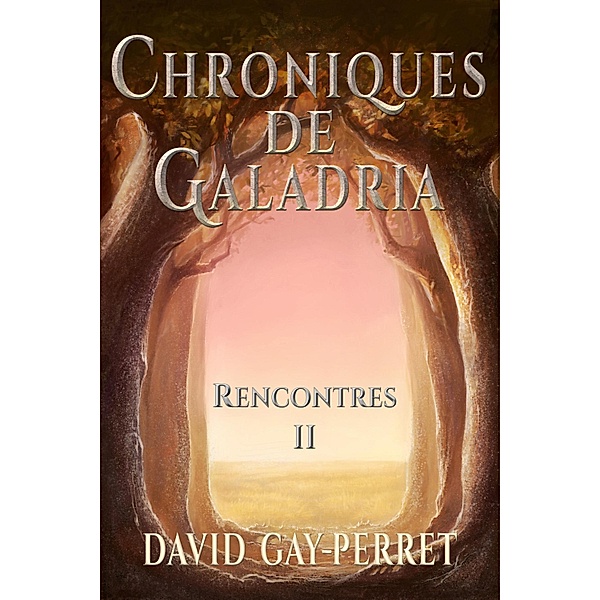 Chroniques de Galadria II: Rencontres / David Gay-Perret, David Gay-Perret