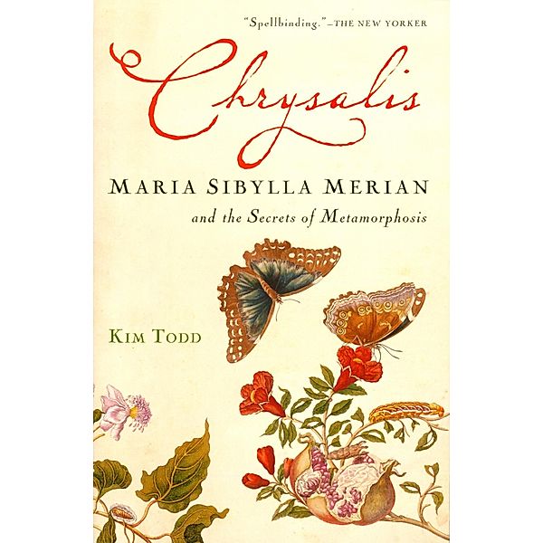 Chrysalis, Kim Todd