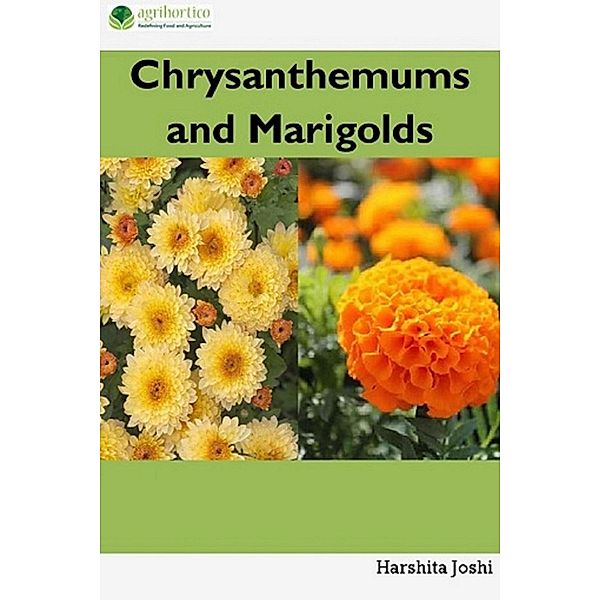 Chrysanthemums and Marigolds, Harshita Joshi