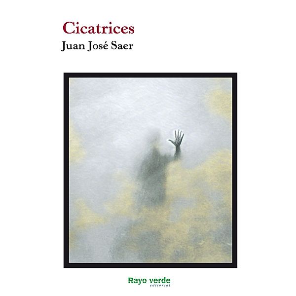 Cicatrices / Rayos Globulares Bd.41, Juan José Saer