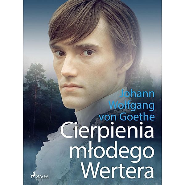 Cierpienia mlodego Wertera, Johann Wolfgang von Goethe