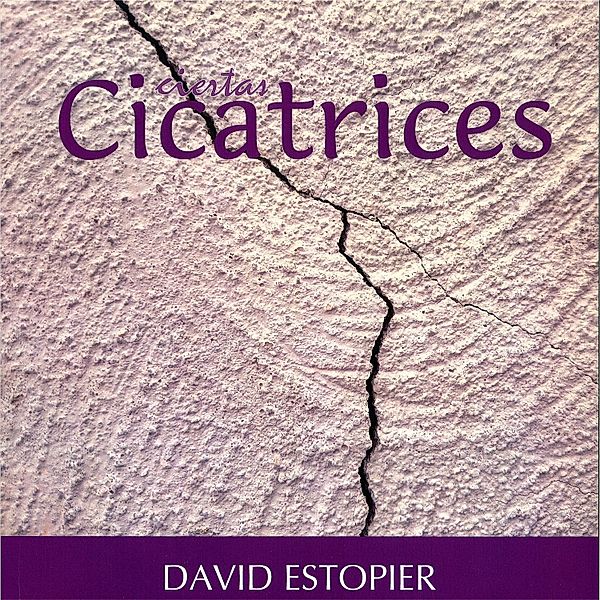 Ciertas cicatrices, David Estopier