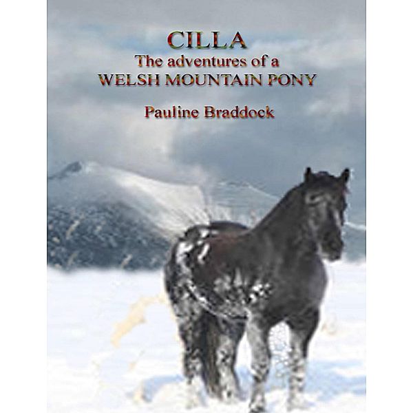 Cilla: The Adventures of a Welsh Mountain Pony, Pauline Braddock