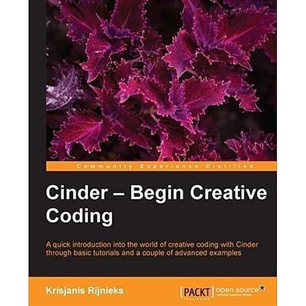 Cinder - Begin Creative Coding, Krisjanis Rijnieks
