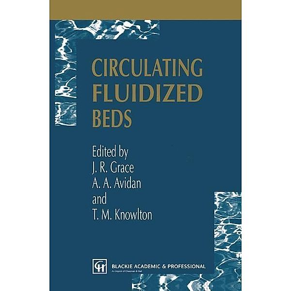 Circulating Fluidized Beds