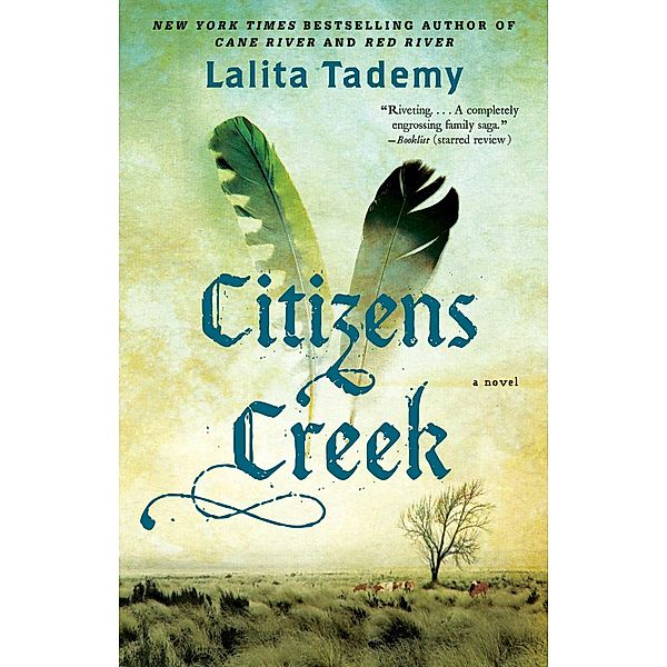 Citizens Creek, Lalita Tademy