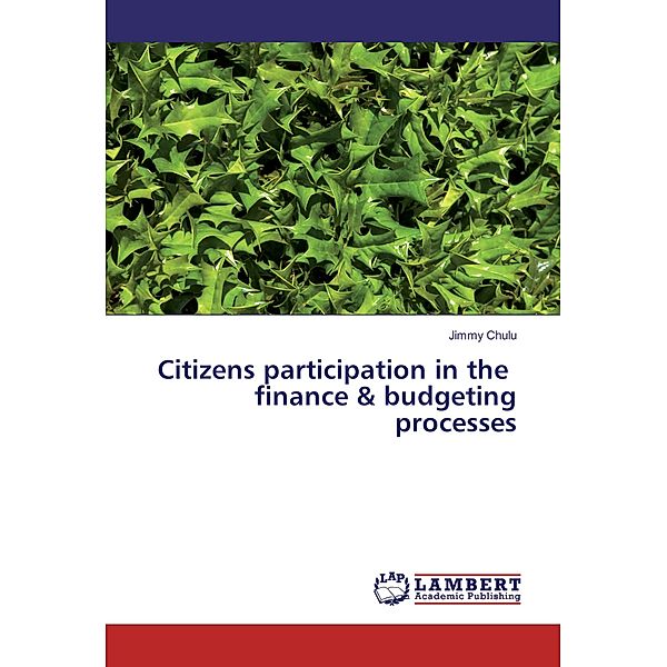 Citizens participation in the finance & budgeting processes, Jimmy Chulu