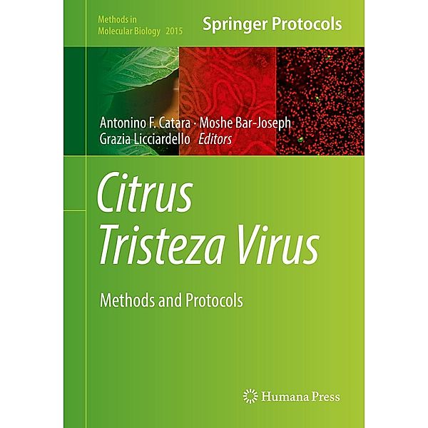 Citrus Tristeza Virus / Methods in Molecular Biology Bd.2015