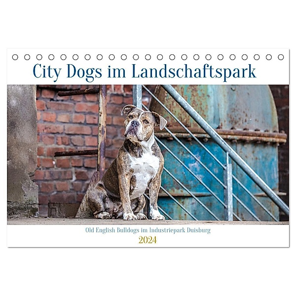 City Dogs im Landschaftspark (Tischkalender 2024 DIN A5 quer), CALVENDO Monatskalender, Fotodesign Verena Scholze