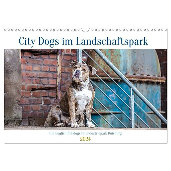 City Dogs im Landschaftspark (Wandkalender 2024 DIN A3 quer), CALVENDO Monatskalender, Fotodesign Verena Scholze