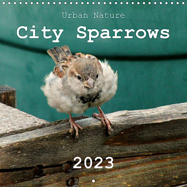City Sparrows (Wall Calendar 2023 300 × 300 mm Square), Linda Schilling