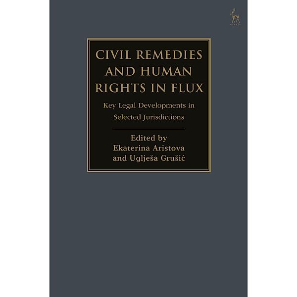 Civil Remedies and Human Rights in Flux