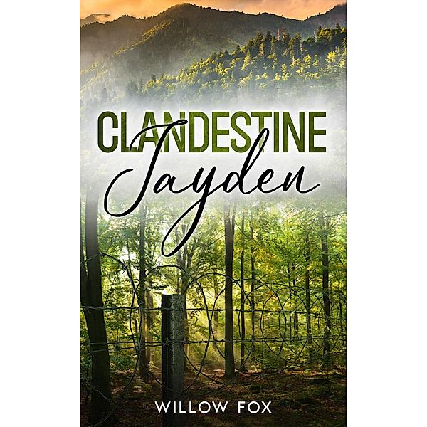 Clandestine: Jayden (Aigle Tactique, #4) / Aigle Tactique, Willow Fox