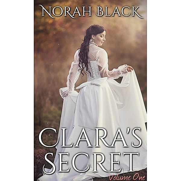 Clara's Secret: Clara's Secret: Volume One - The Visitor, Norah Black