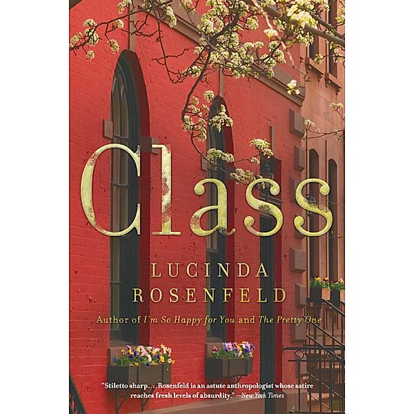 Class, Lucinda Rosenfeld